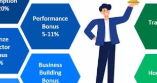 Vestige Business Plan In Hindi