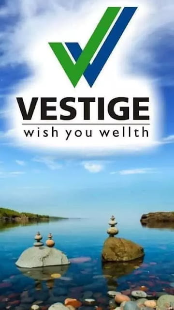 India’s Top Direct Selling Company Vestige Business Plan in Hindi 2023