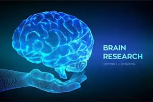 The interesting facts about human brain power in Hindi