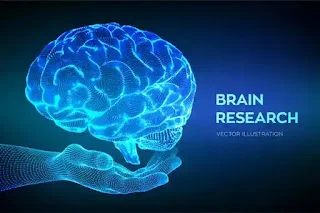 10 Effective Ways to Increase Brain Power in Hindi || मानव मस्तिष्क