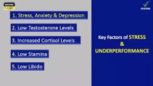 KEY FACTORS OF STRESS