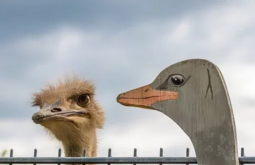 Vestige is Real or Fake