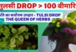 Vestige Tulsi Drop In Hindi ms