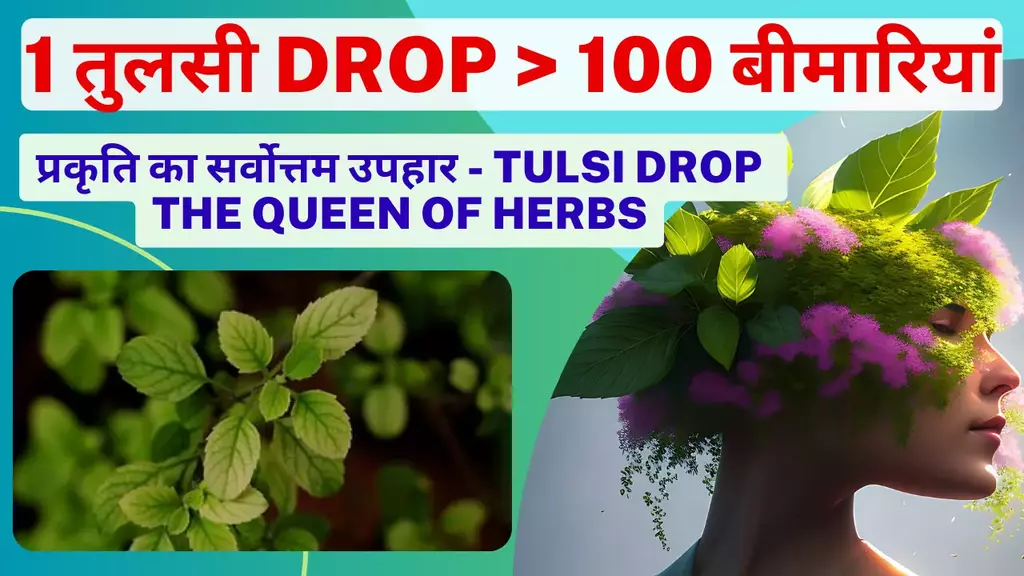 10 Effective Health Benefits Of Vestige Tulsi Drop Hindi Ms