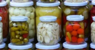 vegetables pickled Making Business